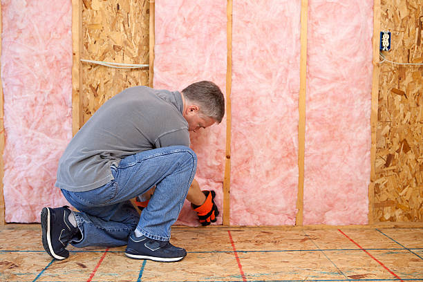 Best Insulation Removal  in Bay Park, NY